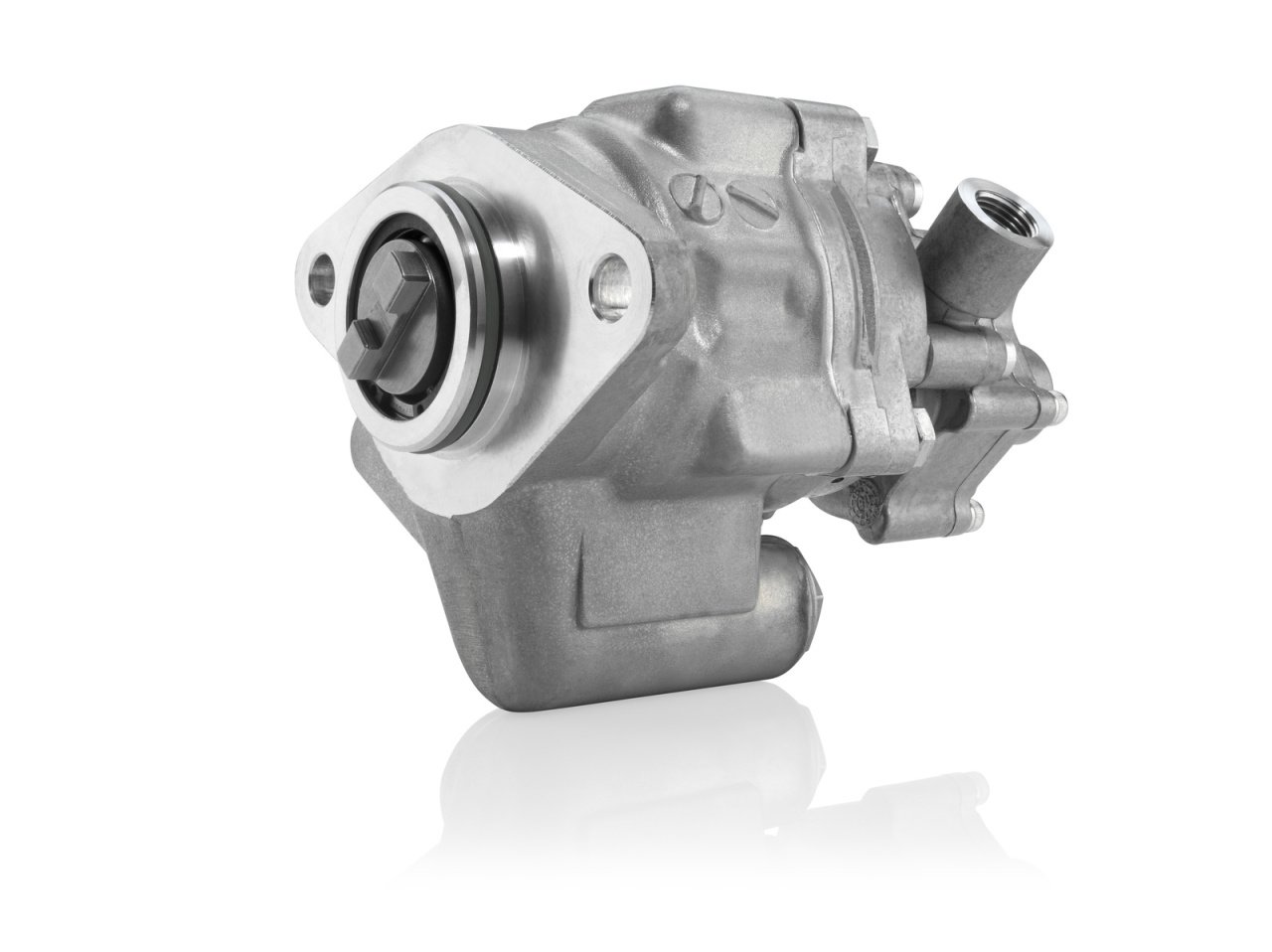 KS00001394 - Paletli (Tandem) Pompa (8695955139) (8001876)